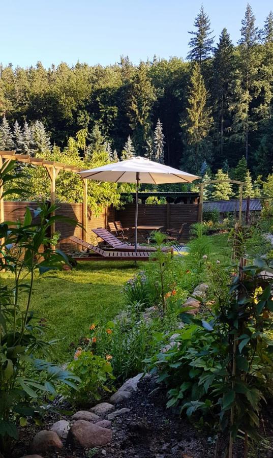 Ferienwohnung Papenmuehle Am Kurpark باد فرايينفالدي المظهر الخارجي الصورة